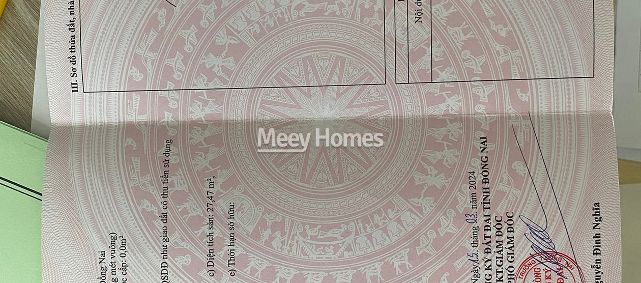 3947581205493686_0.jpg